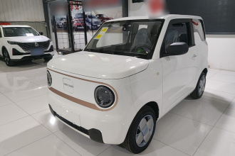 吉利银河 2024款 熊猫mini 200km 耐力熊