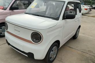 吉利银河 2024款 熊猫mini 200km 耐力熊