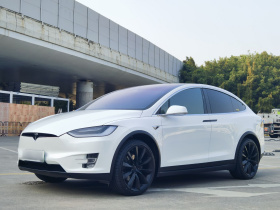 特斯拉 Model X 2020款 长续航升级版