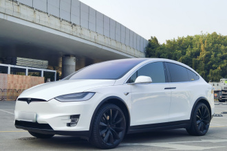 特斯拉 Model X 2020款 长续航升级版