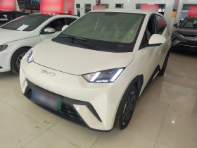 比亚迪 海鸥 2024款 荣耀版 305km 自由版