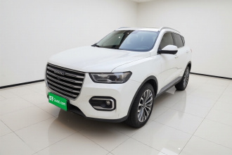 哈弗H6 2020款 2.0GDIT 自动铂金冠军版