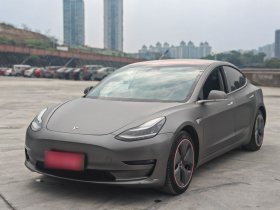 特斯拉 Model 3(进口) 2019款 长续航后驱版