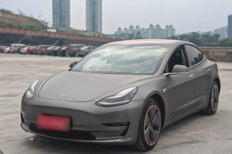 特斯拉 Model 3(进口) 2019款 长续航后驱版