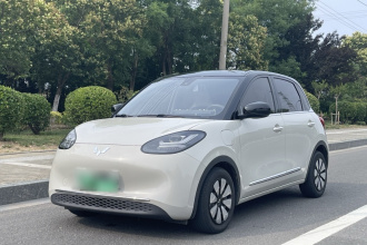 五菱汽车 五菱缤果 2023款 333km 悦享+款