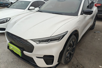 福特电马 2021款 无疆后驱豪华版(长续航)