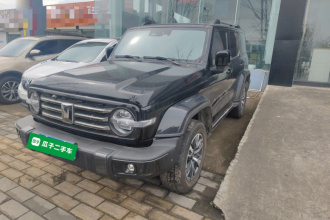 坦克300 2023款 城市版 2.0T 很有型