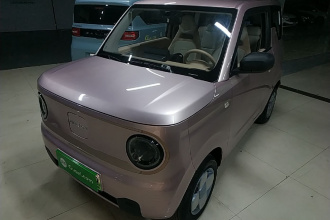 吉利银河 2023款 熊猫mini 200km 耐力熊