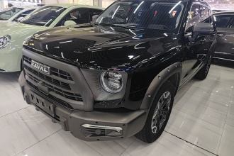 哈弗大狗 2024款 2.0T DCT中华田园犬版