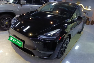 特斯拉 Model Y 2021款 长续航全轮驱动版