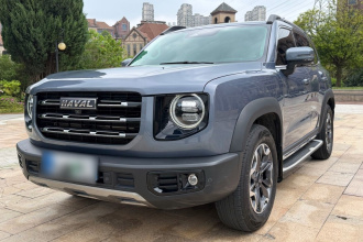 哈弗大狗 2022款 2.0T DCT四驱中华田园犬版