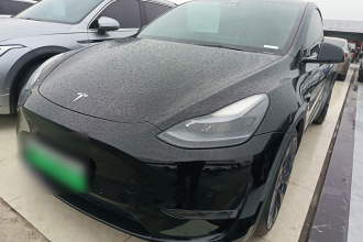 特斯拉 Model Y 2021款 Performance高性能全轮驱动版