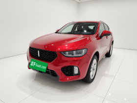 魏牌 VV5 2019款 1.5T 两驱颜先锋