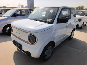 吉利银河 2024款 熊猫mini 200km 耐力熊