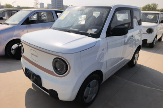 吉利银河 2024款 熊猫mini 200km 耐力熊