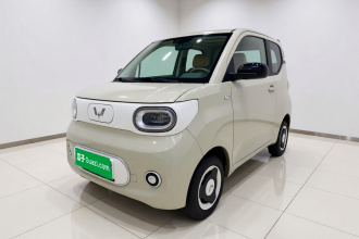 五菱汽车 宏光MINIEV 2024款 第三代 215km 青春版