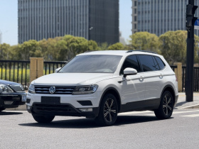 大众 途观L 2019款 330TSI 自动两驱风尚版 国VI