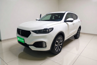 魏牌 VV6 2020款 2.0T 两驱智享+