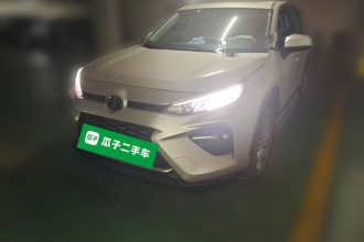 丰田 威兰达 2020款 2.0L CVT两驱豪华版
