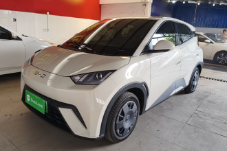比亚迪 海鸥 2025款 305km 活力版