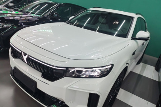 岚图汽车 岚图FREE 2025款 318 318km 后驱环游版