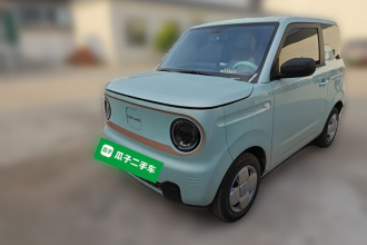 吉利银河 2023款 熊猫mini 200km 耐力熊