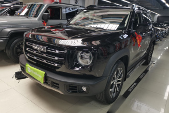 哈弗大狗 2021款 1.5T DCT两驱边牧-旺财版