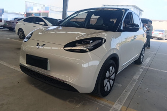 五菱汽车 五菱缤果 2024款 333km 悦享款