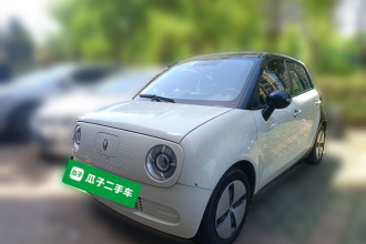 欧拉黑猫 2021款 301km 基础型