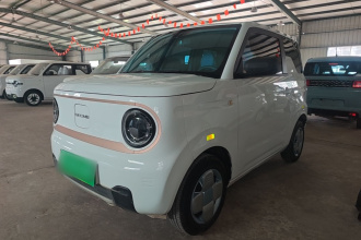 吉利银河 2024款 熊猫mini 200km 耐力熊