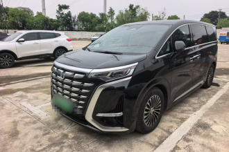 腾势D9 2024款 DM-i 980 四驱旗舰型