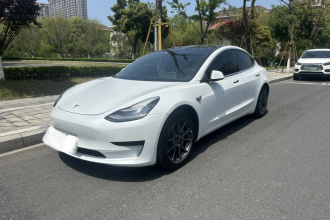 特斯拉 Model 3(进口) 2019款 标准续航后驱升级版