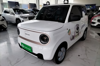 吉利银河 2023款 熊猫mini 200km 耐力熊