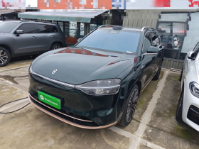 鸿蒙智行 问界M9 2024款 增程 Max版 42kWh 6座版