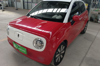 欧拉黑猫 2019款 351km 女神版