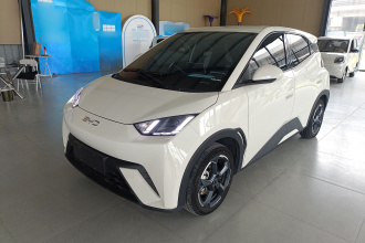 比亚迪 海鸥 2024款 荣耀版 305km 自由版