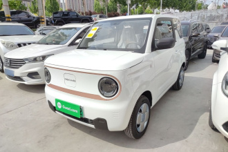吉利银河 2024款 熊猫mini 200km 耐力熊