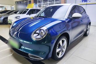 欧拉好猫 2021款 400km标准续航 维纳斯版 三元锂