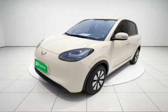 五菱汽车 五菱缤果 2025款 333km 灵犀互联款