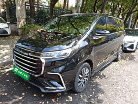 上汽大通MAXUS 大通G20 2020款 2.0T 汽油自动豪华版