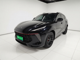 东风风行 风行T5 EVO 2021款 1.5TD DCT星耀版