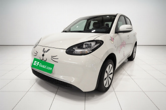 五菱汽车 五菱缤果 2023款 203km 轻享款