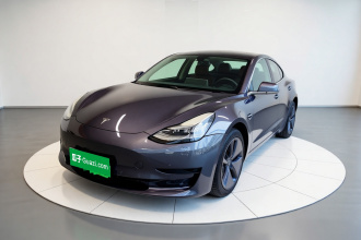 特斯拉 Model 3 2019款 标准续航后驱升级版