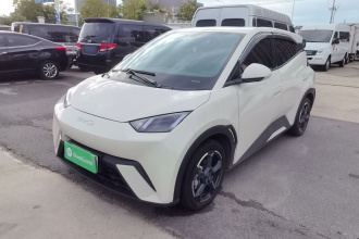 比亚迪 海鸥 2024款 荣耀版 305km 自由版