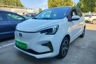 长安 奔奔E-Star 2020款 心动版 磷酸铁锂（31.95kWh）