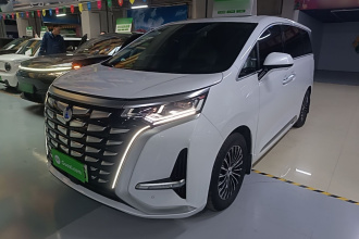 腾势D9 2024款 DM-i 980 四驱尊荣型