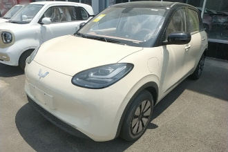 五菱汽车 五菱缤果 2025款 333km 悦享款