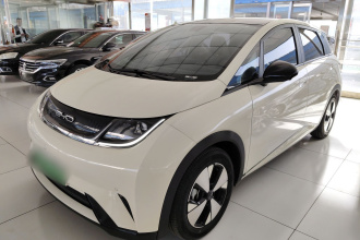 比亚迪 海豚 2023款 420km 时尚版