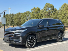 星途揽月 2021款 400T 四驱星尊Pro版 7座