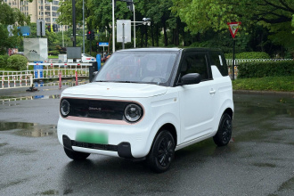 吉利银河 2024款 熊猫mini 200km 耐力熊